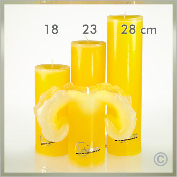LOTUSKERZE Basic gelb ge Gr. 2 23 cm