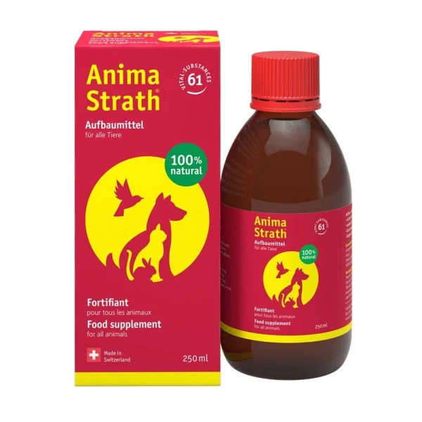 Hier sehen Sie den Artikel ANIMA STRATH liq Fl 250 ml aus der Kategorie Futterergänzungsmittel für Tiere. Dieser Artikel ist erhältlich bei pedro-shop.ch