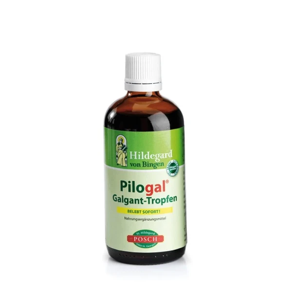 HILDEGARD POSCH Pilogal Galgant Tropfen 100 ml