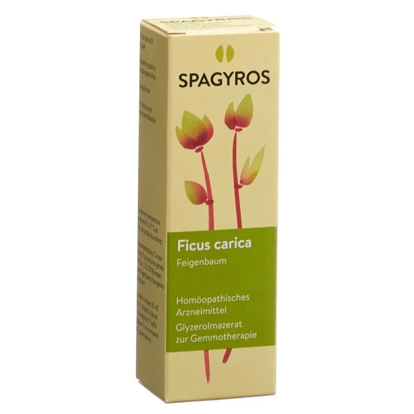 SPAGYROS GEMMO Ficus carica Glyc Maz D 1 30 ml
