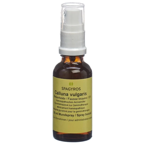 SPAGYROS GEMMO Calluna vulgar Glyc Maz D 1 30 ml