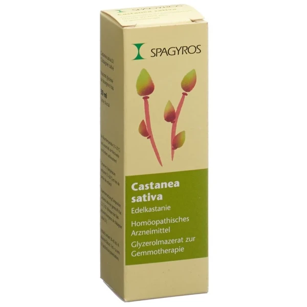 SPAGYROS GEMMO Castanea sativa Glyc Maz D 1 30 ml