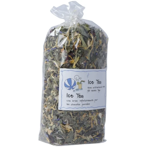 HERBORISTERIA Ice Tea im Sack 80 g