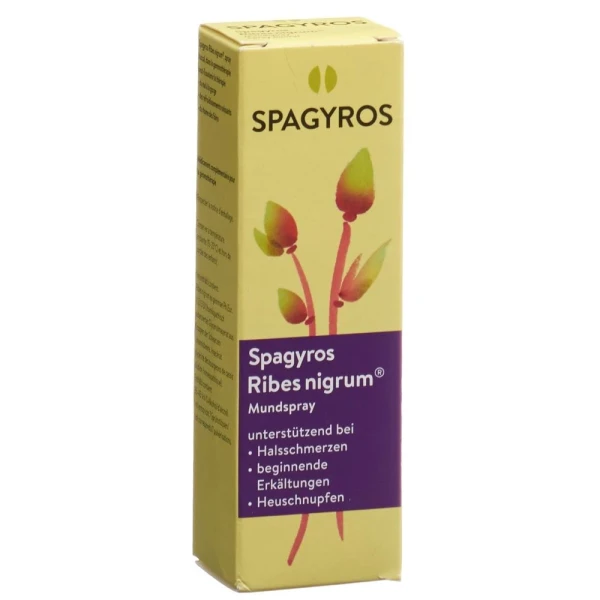 Hier sehen Sie den Artikel SPAGYROS Ribes nigrum Mundspray D 1 30 ml aus der Kategorie Arzneimittel der Liste D. Dieser Artikel ist erhältlich bei pedro-shop.ch