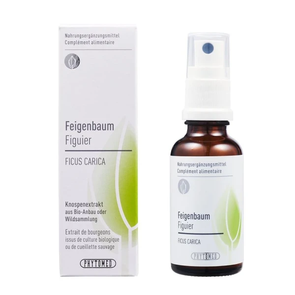 PHYTOMED Knospenextrakt Feigenbaum Spr 30 ml