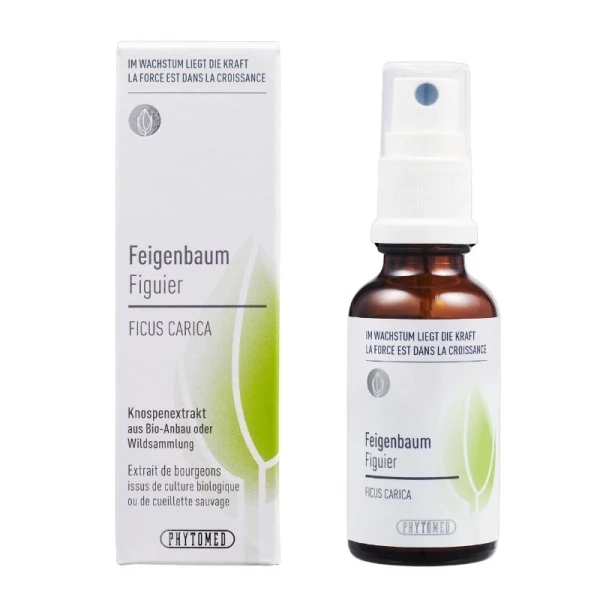 PHYTOMED Knospenextrakt Feigenbaum Spr 30 ml