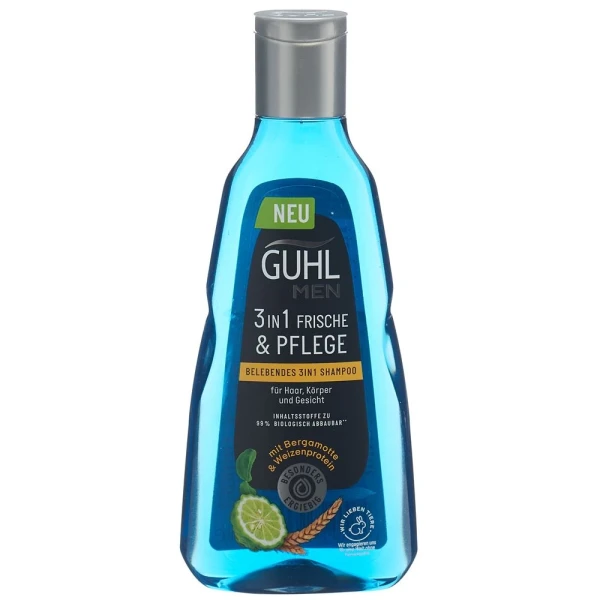 GUHL Men 3in1 Shampoo Frische & Pflege Fl 250 ml